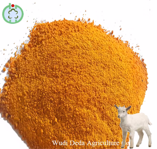 Yellow Corn Gluten Meal 60% Protein Feed Additives for Sale