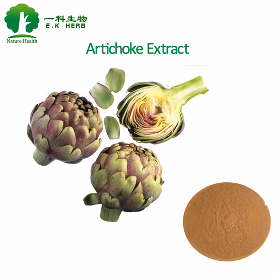 E. K Herb Artichoke Leaf Extract Cynarin Artichoke Extract Nutritional Supplement