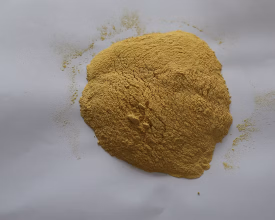 Polvo de proteína de semilla de calabaza al por mayor Polvo de calabaza en polvo de frutas vegetales liofilizadas